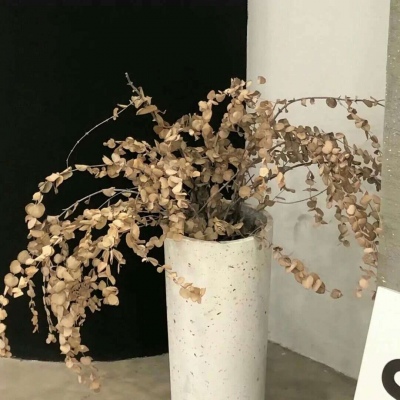 Furry插画光影技巧福瑞交流群